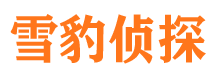 苍山市侦探